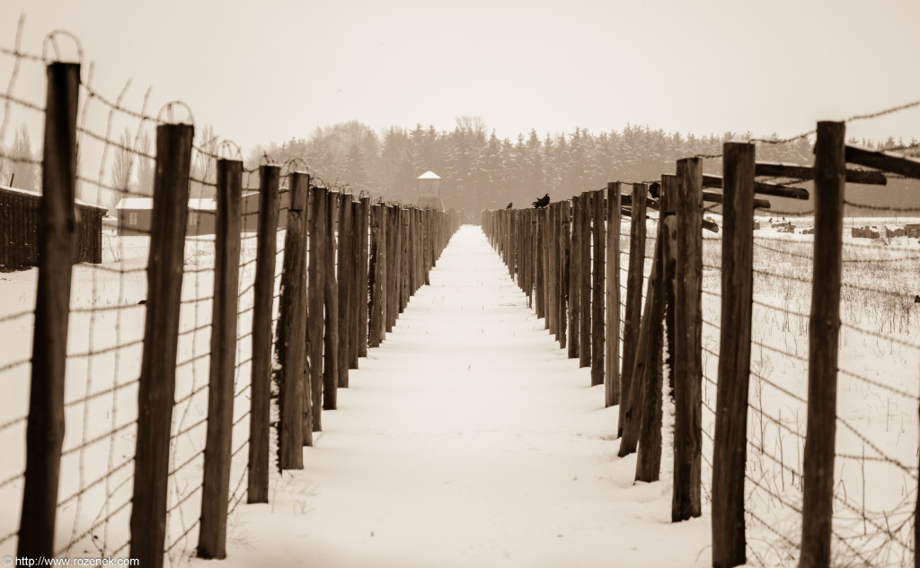 2012.12.16 - Majdanek - 17